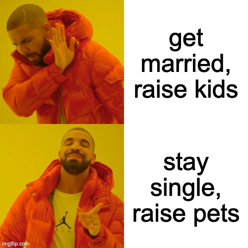 Raise pets | get married, raise kids; stay single, raise pets | image tagged in memes,drake hotline bling | made w/ Imgflip meme maker