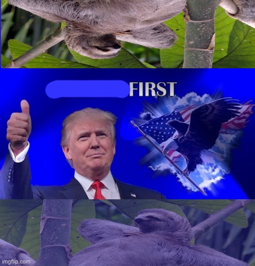 First | image tagged in america first sloths 2 | made w/ Imgflip meme maker