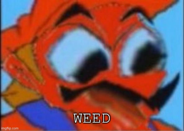 LUIGI THIS ISNT WEED | WEED | image tagged in luigi this isnt weed | made w/ Imgflip meme maker