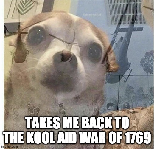 PTSD Chihuahua | TAKES ME BACK TO THE KOOL AID WAR OF 1769 | image tagged in ptsd chihuahua | made w/ Imgflip meme maker