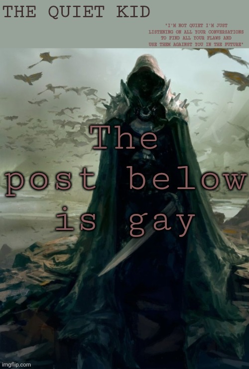 Quiet kid | The post below is gay | image tagged in quiet kid | made w/ Imgflip meme maker