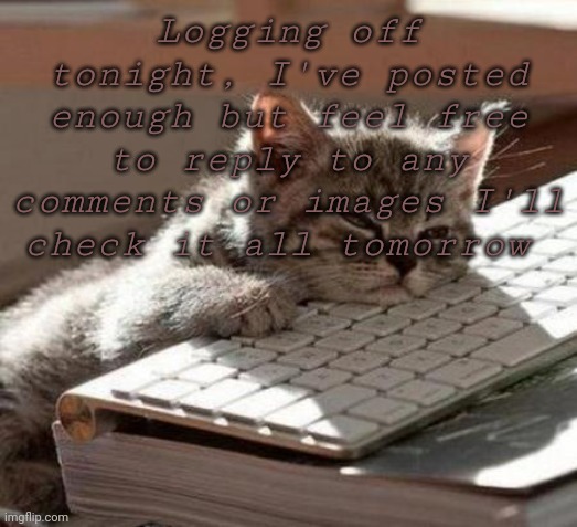 tired cat | Logging off tonight, I've posted enough but feel free to reply to any comments or images I'll check it all tomorrow | image tagged in tired cat | made w/ Imgflip meme maker
