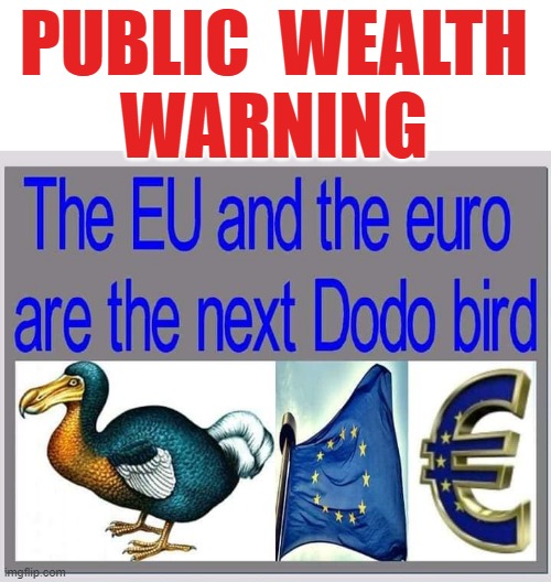 PUBLIC WEALTH WARNING | PUBLIC  WEALTH
WARNING | image tagged in eu | made w/ Imgflip meme maker