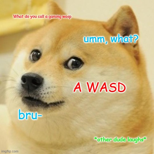 Doge | What do you call a gaming wasp; umm, what? A WASD; bru-; *other dude laughs* | image tagged in memes,doge | made w/ Imgflip meme maker