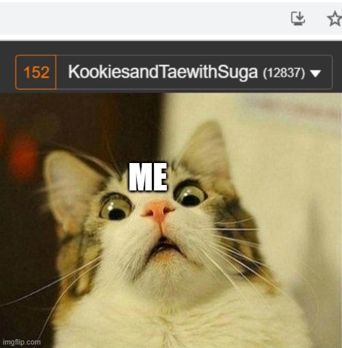 ME | image tagged in memes,scared cat | made w/ Imgflip meme maker