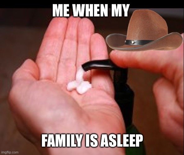 What in Masterbation | ME WHEN MY FAMILY IS ASLEEP | image tagged in what in masterbation | made w/ Imgflip meme maker