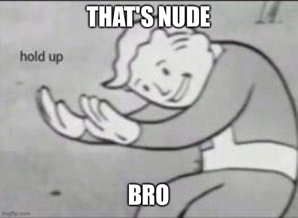 Fallout Hold Up | THAT'S NUDE BRO | image tagged in fallout hold up | made w/ Imgflip meme maker