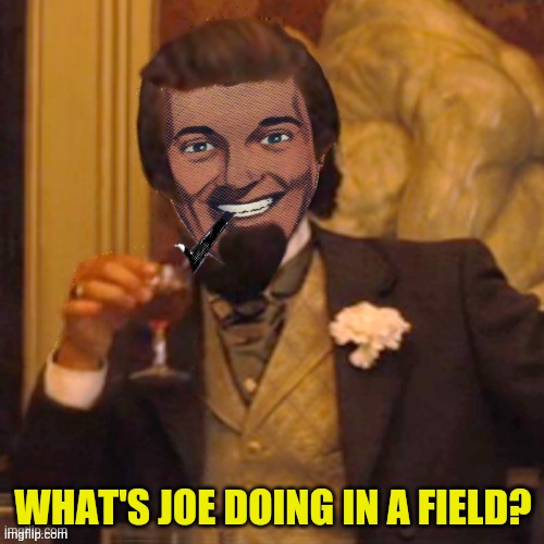 Laughing Strangmeme | WHAT'S JOE DOING IN A FIELD? | image tagged in laughing strangmeme | made w/ Imgflip meme maker