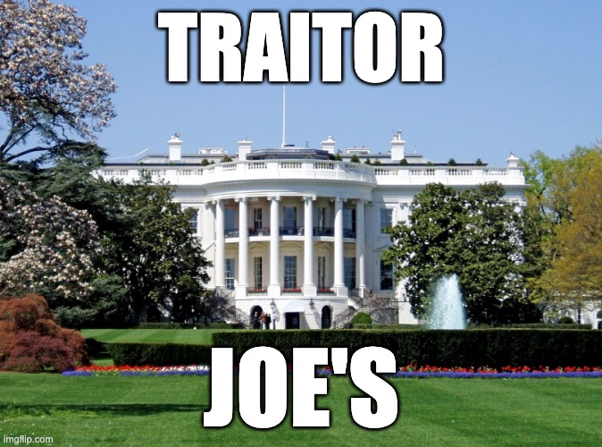 TRAITOR JOE'S | TRAITOR; JOE'S | image tagged in white house | made w/ Imgflip meme maker