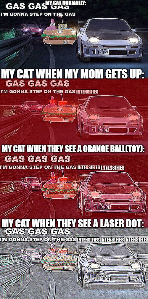 GAS GAS GAS | MY CAT NORMALLY:; MY CAT WHEN MY MOM GETS UP:; MY CAT WHEN THEY SEE A ORANGE BALL(TOY):; MY CAT WHEN THEY SEE A LASER DOT: | image tagged in gas gas gas,gas gas gas intensifies,gas gas gas intensifies intensifies,gas gas gas intenisfies intensifies intensifies | made w/ Imgflip meme maker