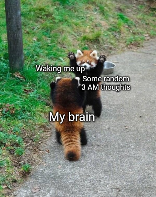 It Might As Well Be Called "3 AM Syndrome" | Waking me up; Some random 3 AM thoughts; My brain | image tagged in red pandas | made w/ Imgflip meme maker