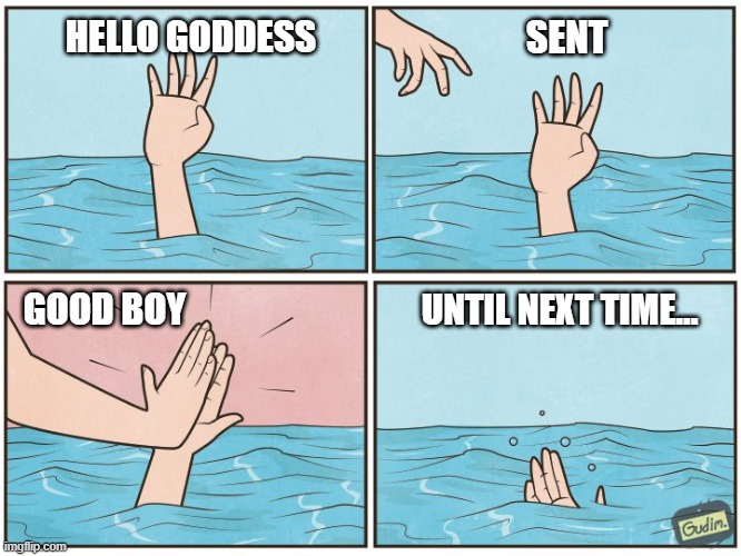 High Five Drown Findom | HELLO GODDESS; SENT; GOOD BOY; UNTIL NEXT TIME... | image tagged in high five drown,memes | made w/ Imgflip meme maker