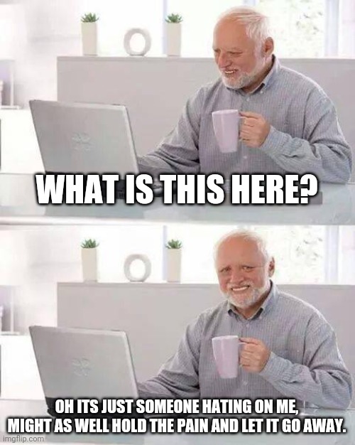Hide the Pain Harold | WHAT IS THIS HERE? OH ITS JUST SOMEONE HATING ON ME, MIGHT AS WELL HOLD THE PAIN AND LET IT GO AWAY. | image tagged in memes,hide the pain harold | made w/ Imgflip meme maker