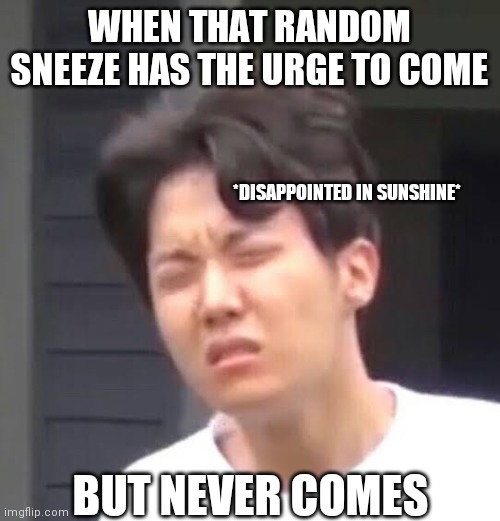 BTS MEMES | WHEN THAT RANDOM SNEEZE HAS THE URGE TO COME; *DISAPPOINTED IN SUNSHINE*; BUT NEVER COMES | image tagged in bts | made w/ Imgflip meme maker