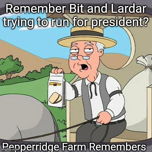 To be honest, I think half the stream forgot about that attempt. | Remember Bit and Lardar trying to run for president? Pepperridge Farm Remembers | image tagged in memes,pepperidge farm remembers | made w/ Imgflip meme maker