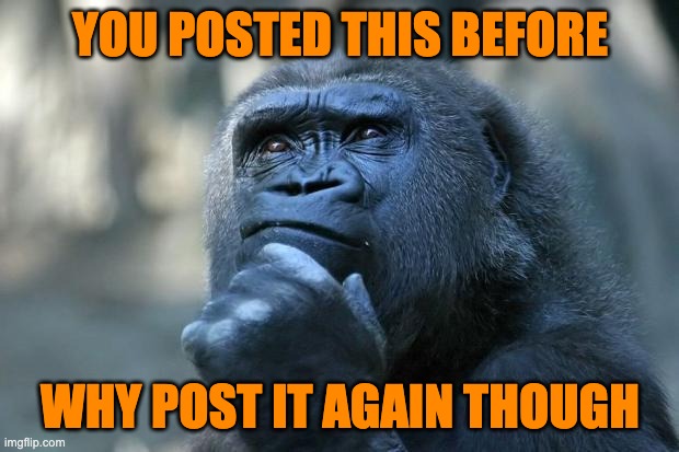 Deep Thoughts | YOU POSTED THIS BEFORE WHY POST IT AGAIN THOUGH | image tagged in deep thoughts | made w/ Imgflip meme maker