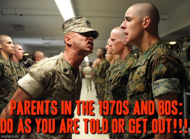 Truth be told it's kind of my interpretation | image tagged in memes,drill sergeant,parents,70s,80s,relatable | made w/ Imgflip meme maker