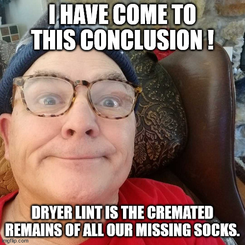 Durl Earl | I HAVE COME TO THIS CONCLUSION ! DRYER LINT IS THE CREMATED REMAINS OF ALL OUR MISSING SOCKS. | image tagged in durl earl | made w/ Imgflip meme maker