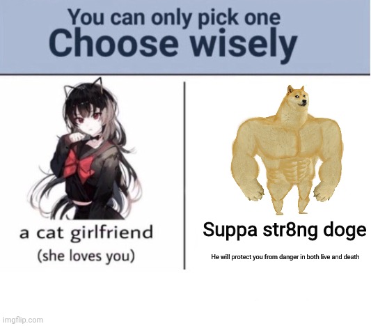Choose wisely | Suppa str8ng doge He will protect you from danger in both live and death | image tagged in choose wisely | made w/ Imgflip meme maker