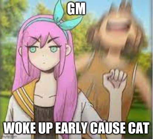 Aubrey punching Kel omori | GM; WOKE UP EARLY CAUSE CAT | image tagged in aubrey punching kel omori | made w/ Imgflip meme maker