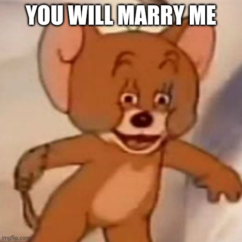 Polish Jerry | YOU WILL MARRY ME | image tagged in polish jerry | made w/ Imgflip meme maker