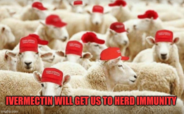 Trump sheeple | IVERMECTIN WILL GET US TO HERD IMMUNITY | image tagged in trump sheeple | made w/ Imgflip meme maker