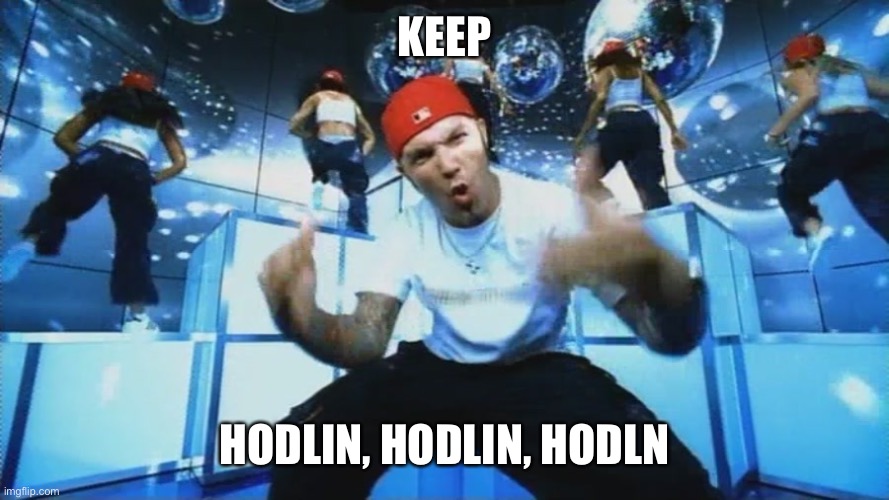 Limp Bizkit | KEEP; HODLIN, HODLIN, HODLN | image tagged in limp bizkit | made w/ Imgflip meme maker