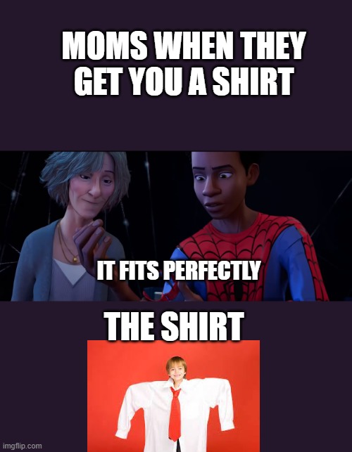 WOW UR SO HANDSOME HUUNY | MOMS WHEN THEY GET YOU A SHIRT; IT FITS PERFECTLY; THE SHIRT | image tagged in spiderman | made w/ Imgflip meme maker