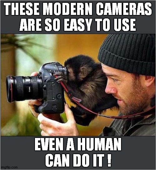 Photography  Is So Simple ! | THESE MODERN CAMERAS
ARE SO EASY TO USE; EVEN A HUMAN CAN DO IT ! | image tagged in photography,simple,monkey | made w/ Imgflip meme maker