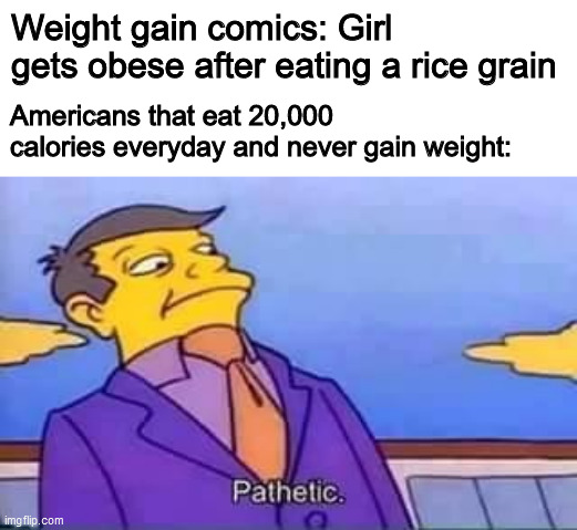 Well, it's not a stereotype if it's partially true | Weight gain comics: Girl gets obese after eating a rice grain; Americans that eat 20,000 calories everyday and never gain weight: | image tagged in skinner pathetic,memes,united states,weight gain,deviantart | made w/ Imgflip meme maker