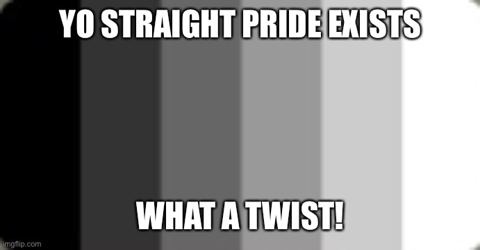 Poggers | YO STRAIGHT PRIDE EXISTS; WHAT A TWIST! | image tagged in straight flag | made w/ Imgflip meme maker