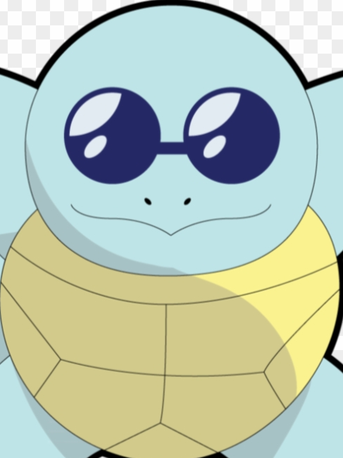 High Quality squirtle Blank Meme Template