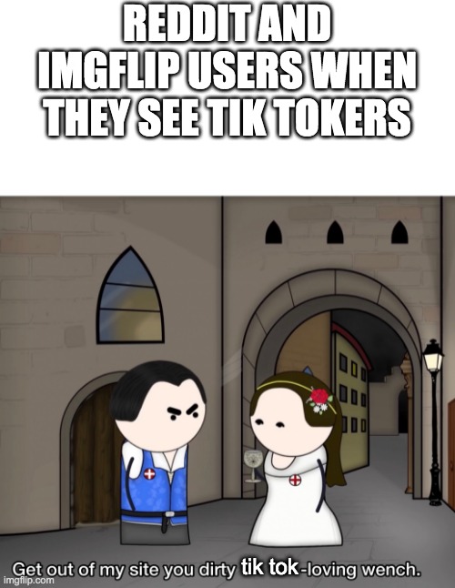 oversimplified get out of my site you dirty pope loving wench | REDDIT AND IMGFLIP USERS WHEN THEY SEE TIK TOKERS; tik tok | image tagged in oversimplified get out of my site you dirty pope loving wench | made w/ Imgflip meme maker
