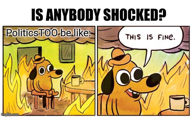 This Is Fine Meme | PoliticsTOO be like: IS ANYBODY SHOCKED? | image tagged in memes,this is fine | made w/ Imgflip meme maker