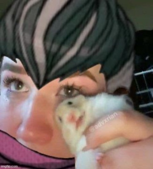 this is so sad go get the hamster | image tagged in this is so sad go get the hamster | made w/ Imgflip meme maker