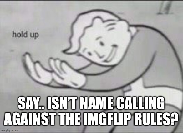 Fallout Hold Up | SAY.. ISN’T NAME CALLING AGAINST THE IMGFLIP RULES? | image tagged in fallout hold up | made w/ Imgflip meme maker