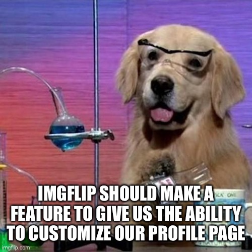 I Have No Idea What I Am Doing Dog | IMGFLIP SHOULD MAKE A FEATURE TO GIVE US THE ABILITY TO CUSTOMIZE OUR PROFILE PAGE | image tagged in memes,i have no idea what i am doing dog | made w/ Imgflip meme maker