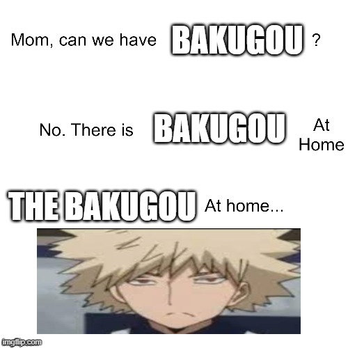 Bakugou at home | BAKUGOU; BAKUGOU; THE BAKUGOU | image tagged in mom can we have | made w/ Imgflip meme maker