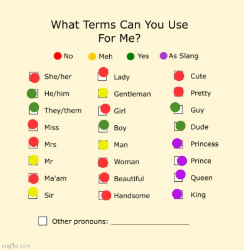 Pronouns Sheet | image tagged in pronouns sheet | made w/ Imgflip meme maker