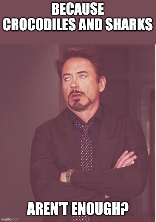 Face You Make Robert Downey Jr Meme | BECAUSE CROCODILES AND SHARKS AREN'T ENOUGH? | image tagged in memes,face you make robert downey jr | made w/ Imgflip meme maker