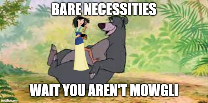 BARE NECESSITIES; WAIT YOU AREN'T MOWGLI | image tagged in disney | made w/ Imgflip meme maker