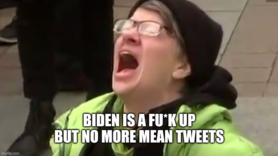 Screaming Liberal  | BIDEN IS A FU*K UP BUT NO MORE MEAN TWEETS | image tagged in screaming liberal | made w/ Imgflip meme maker