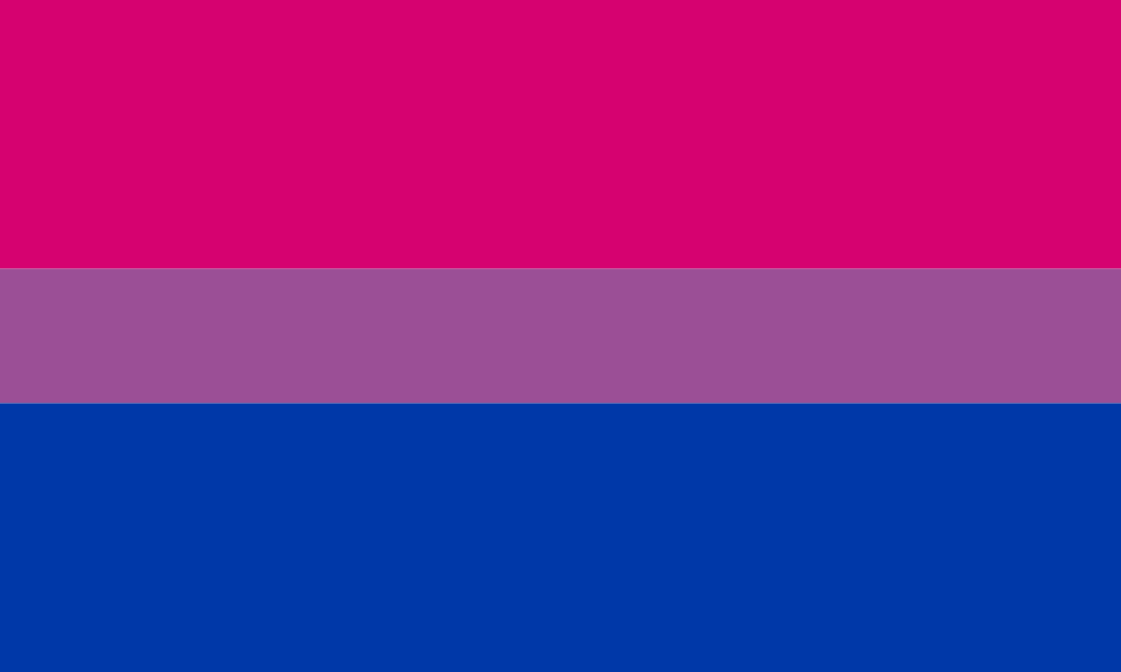 High Quality Bi flag Blank Meme Template