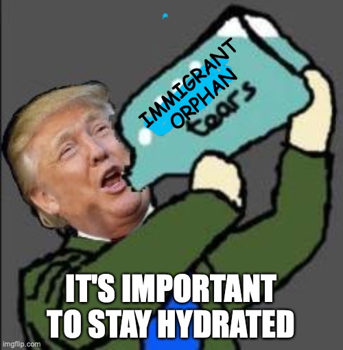 Liberal tears | IMMIGRANT
ORPHAN IT'S IMPORTANT TO STAY HYDRATED | image tagged in liberal tears | made w/ Imgflip meme maker