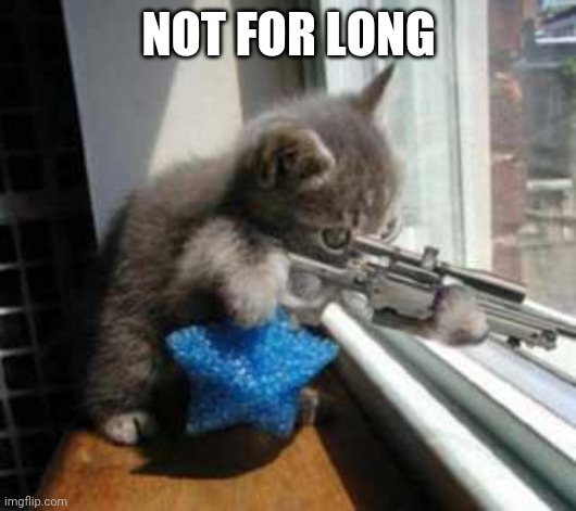 CatSniper | NOT FOR LONG | image tagged in catsniper | made w/ Imgflip meme maker