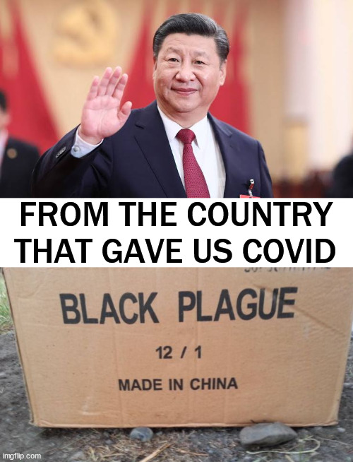 What next? | FROM THE COUNTRY THAT GAVE US COVID | image tagged in xi jinping,political meme | made w/ Imgflip meme maker