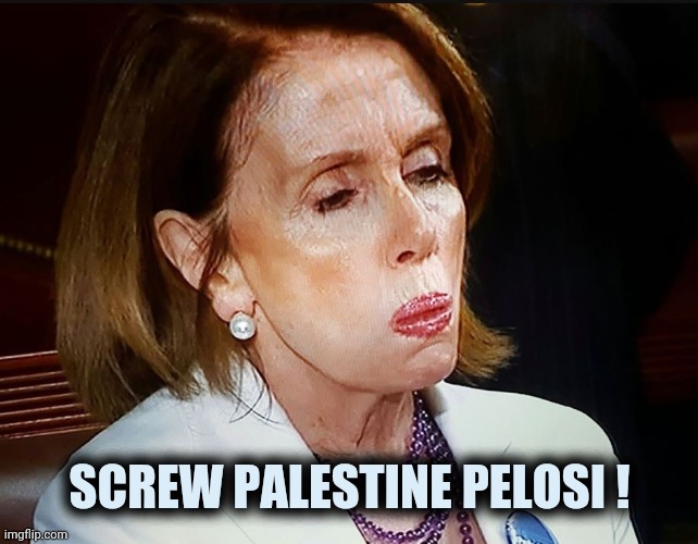 Nancy Pelosi PB Sandwich | SCREW PALESTINE PELOSI ! | image tagged in nancy pelosi pb sandwich | made w/ Imgflip meme maker