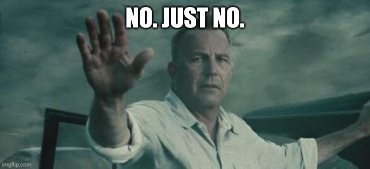 No. Just no | NO. JUST NO. | image tagged in no just no | made w/ Imgflip meme maker