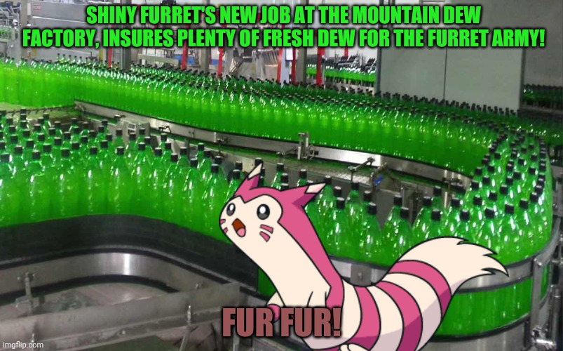 Furret's new job! | SHINY FURRET'S NEW JOB AT THE MOUNTAIN DEW FACTORY, INSURES PLENTY OF FRESH DEW FOR THE FURRET ARMY! FUR FUR! | image tagged in furret,invasion,mountain dew,pokemon,cute animals | made w/ Imgflip meme maker
