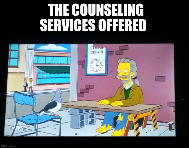 The counseling services offered | THE COUNSELING SERVICES OFFERED | image tagged in counseling,therapy | made w/ Imgflip meme maker